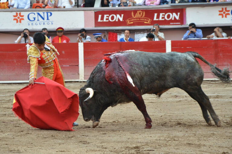 Serial taurino de la Feria Nacional de San Marcos estuvo en riesgo de no celebrarse