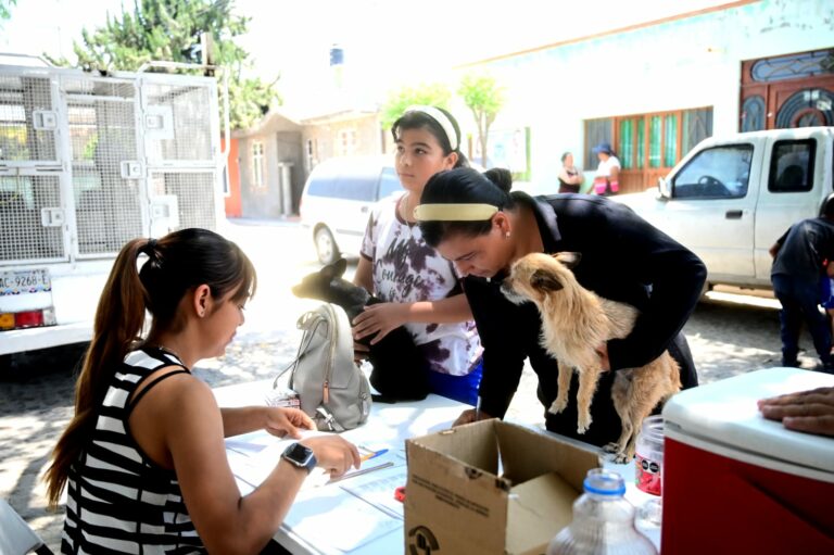 Invita municipio a las jornadas de esterilización para caninos y felinos