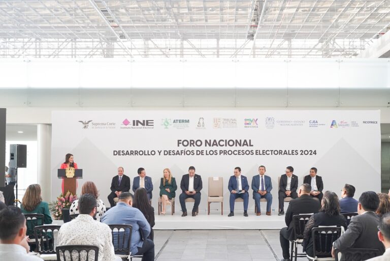 Las elecciones deben celebrarse en orden y paz: Tere Jiménez