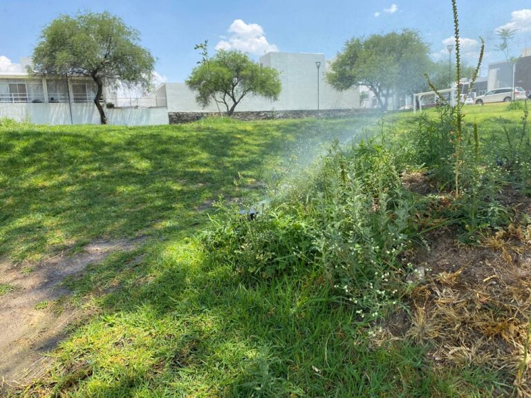 Cuida el agua con estas sencillas recomendaciones