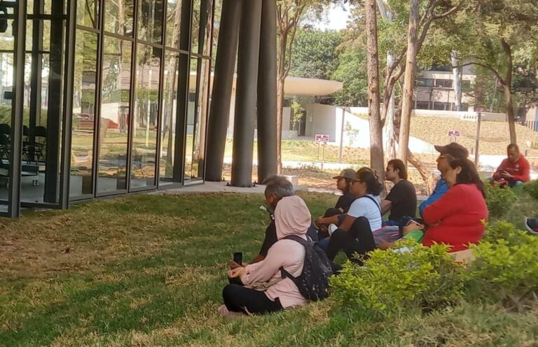 Bosque de Letras ofrecerá la narración de obras de Josefina Vicens y Rosario Castellanos