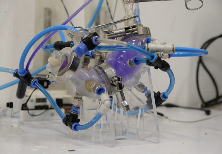 Universitarios crean estómago artificial que imita funciones del órgano humano 