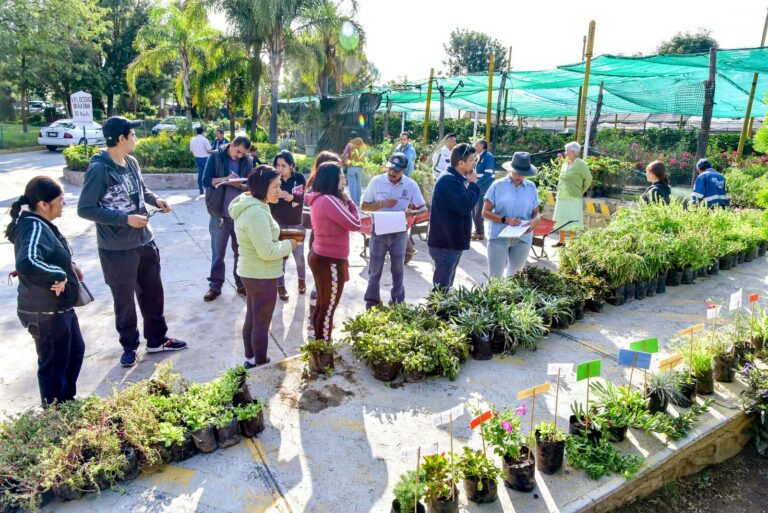 Vivero Municipal invita a la donación de plantas 