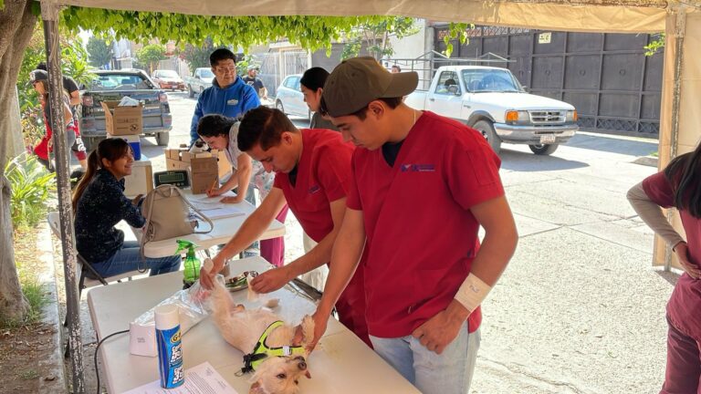 Nuevas fechas de la caravana de la salud canina y felina