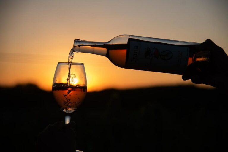 Aguascalientes ya se prepara para las vendimias de la Ruta del Vino