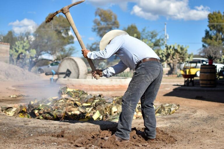 Respalda la SEDRAE a campesinos ante el cierre del Tribunal Agrario local