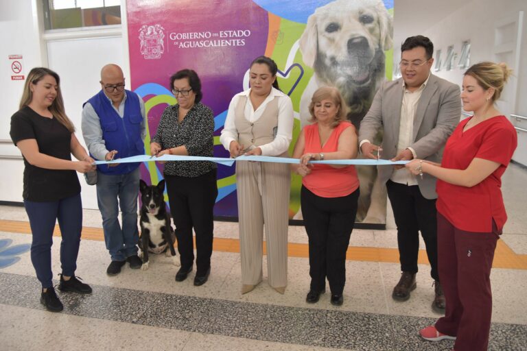 DIF estatal de Aguascalientes abre centro de terapia asistida con animales 