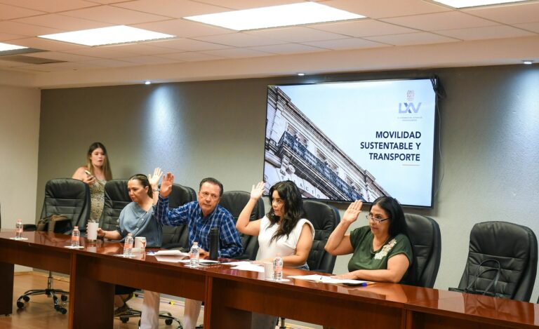 Comisión de Movilidad aprobó aplicar castigos a quienes obstaculicen vías para personas discapacitadas 