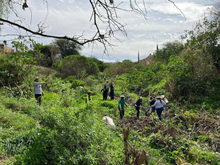 Llama municipio a sumar esfuerzos en el cuidado al medio ambiente y limpieza de arroyos 