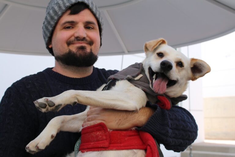 Recomendaciones para evitar golpes de calor en las mascotas