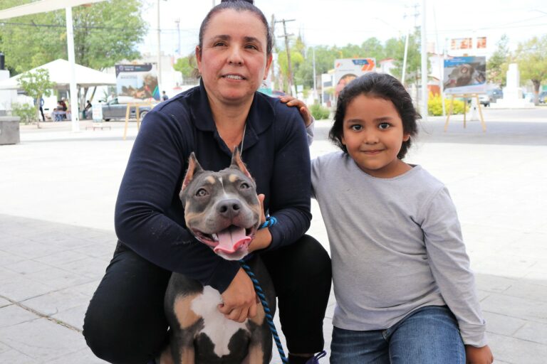 Avalaron reforma de esterilización y cero sacrificio para animales de compañía