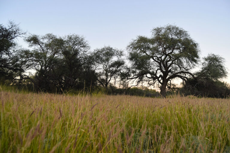 Municipio de Aguascalientes es omiso en salvaguardar el Área Natural Protegida de La Pona 