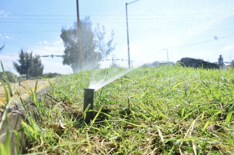 Se confirma proyecto hídrico, “el agua no es un tema de política”: Tere Jiménez
