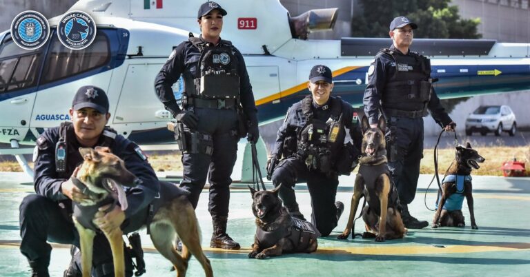 Nuevos agentes caninos se integran a la unidad K9 de la SSPE