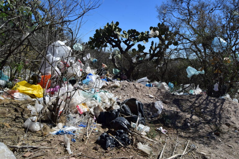 Jesús María lleva a cabo Colecta Masiva de Desechos  
