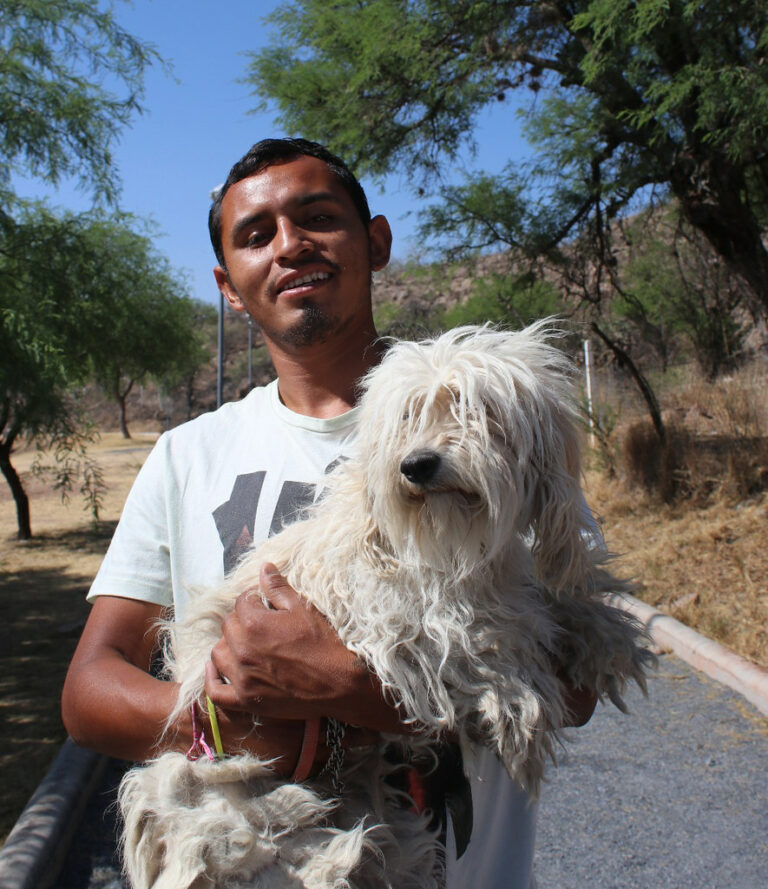 Servicios veterinarios gratuitos en San José de Gracia este viernes