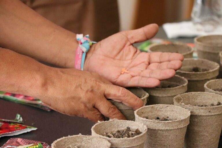 SEMADESU promueve hábitos sostenibles con talleres ambientales 
