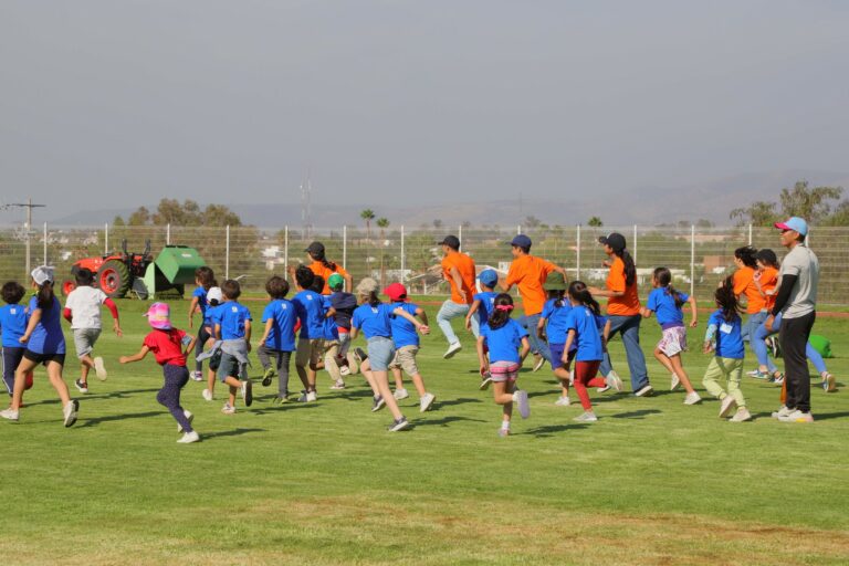 UAA invita a su curso de verano “Pollitos 2024”