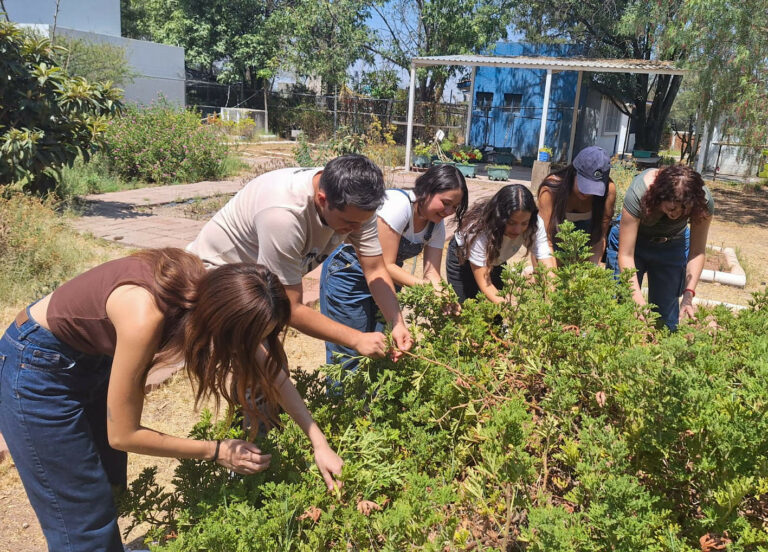 Continúa abierta la convocatoria para participar en el Premio Municipal al Cuidado del Medio Ambiente