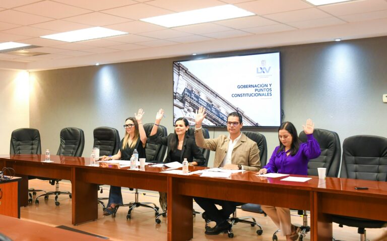 Comisión de Gobernación avaló reforma para fortalecer el derecho a entornos seguros 