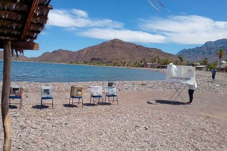 Elecciones 2024: Gallos, ubicaciones peculiares y todo lo curioso que ocurrió en la jornada electoral