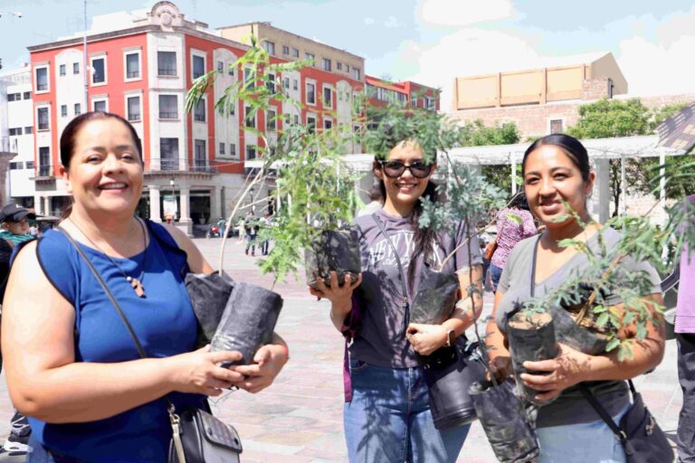 Cientos de familias de Aguascalientes participaron en la donación de árboles