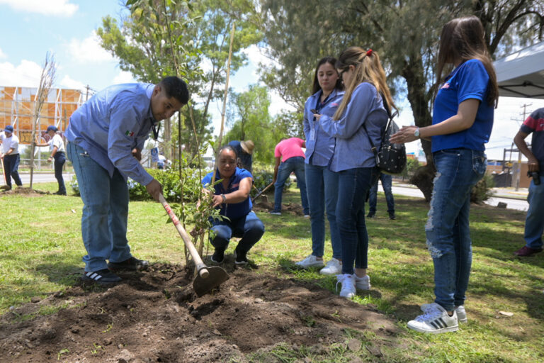 Municipio de Aguascalientes y empresas reforestan camellones