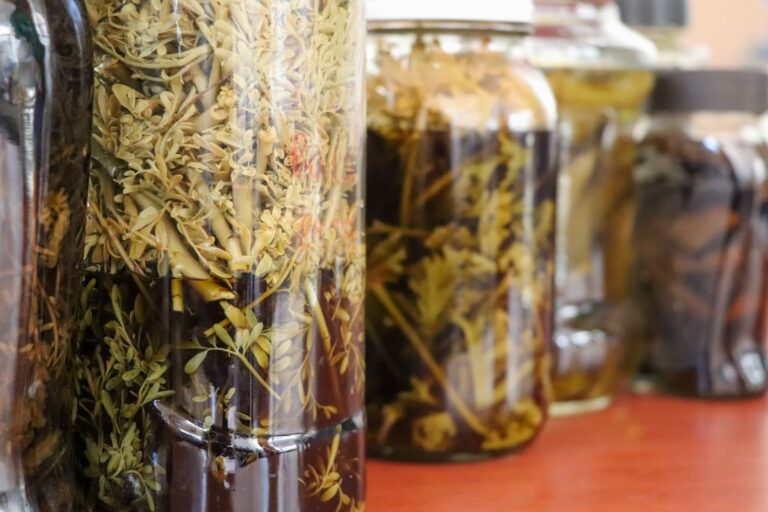 Ofrece municipio de Aguascalientes taller de elaboración de remedios caseros