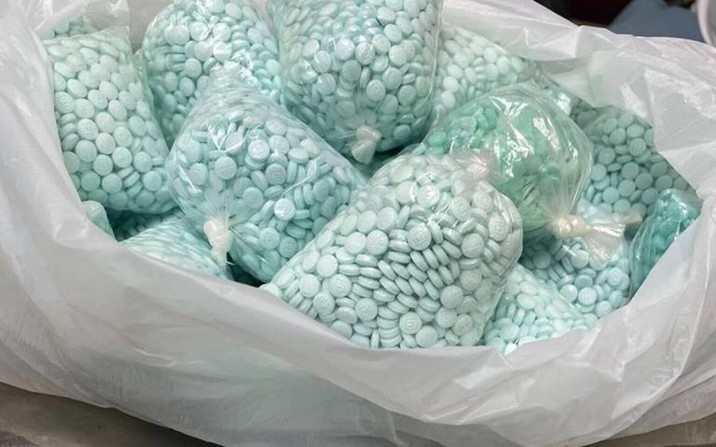 Fuerzas Armadas han decomisado más de 8 mil kilogramos de fentanilo 