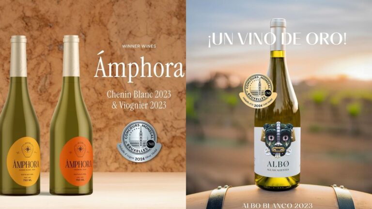 Vinos de Aguascalientes ganan 10 medallas en el Concurso Mundial de Bruselas 