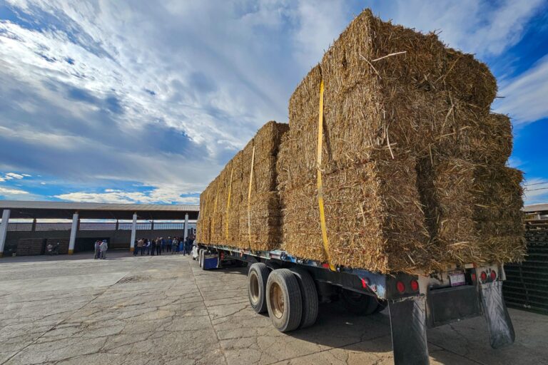 Gobierno del Estado apoyará a ganaderos con forraje y suplementos proteínicos 