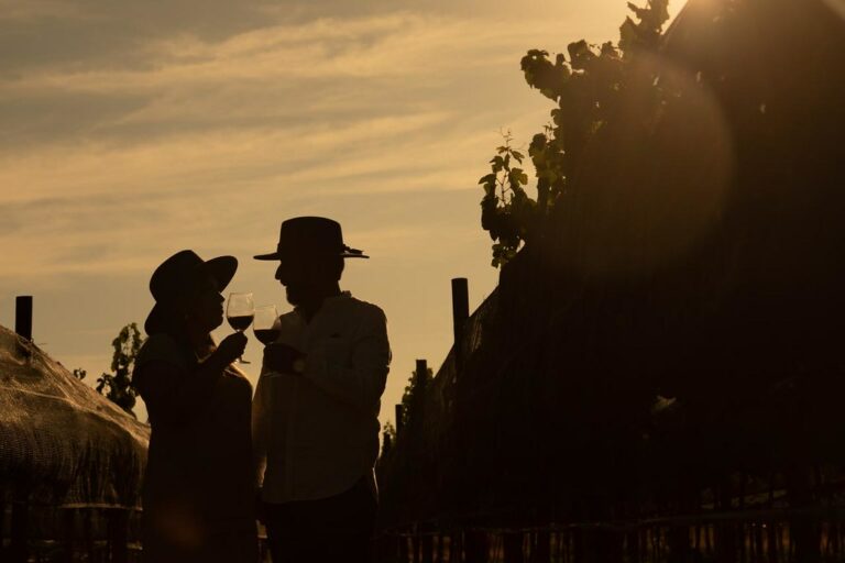 Enoturismo en Aguascalientes se fortalece