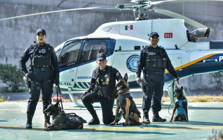 4 de cada 10 aguascalentenses se sienten inseguros