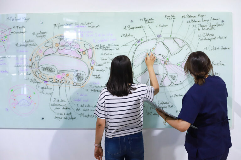 UAA abre su convocatoria para el programa de Tutoría de pares  