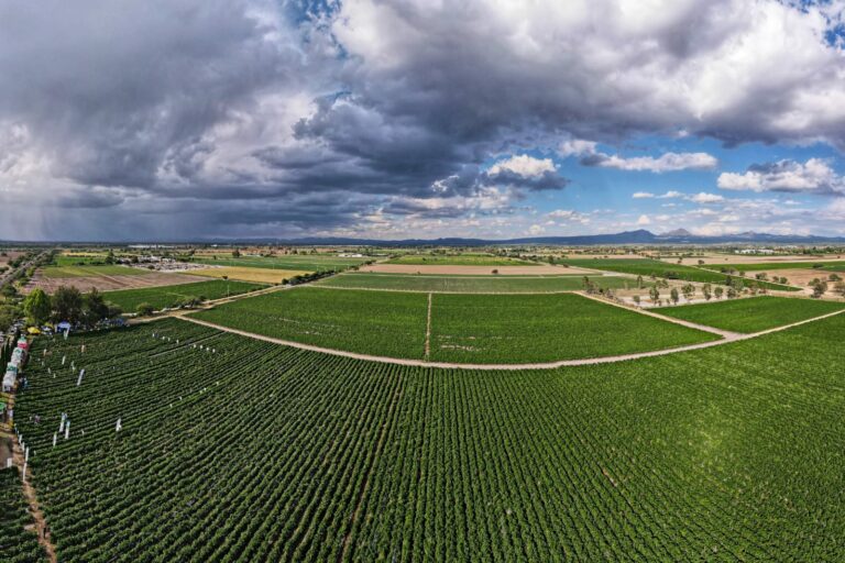 Lluvia deja ver sus beneficios en la ciudad de Aguascalientes