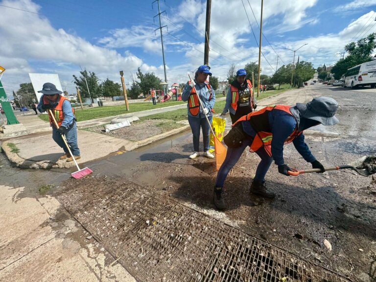 Municipio de Aguascalientes intensifica jornadas de limpia de caimanes en Línea Verde 