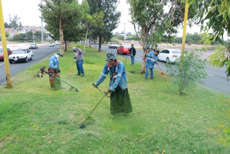 Intensifica municipio de Aguascalientes trabajos de mantenimiento de áreas verdes