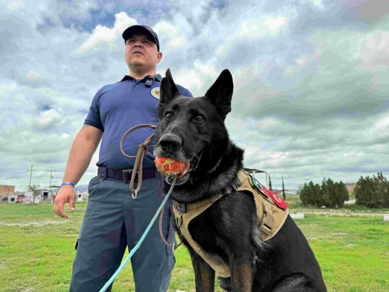 De Aguascalientes para el mundo, Ruger, un héroe internacional