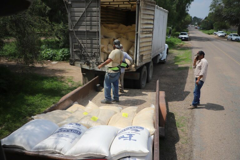 Productores de Jesús María recibieron alimento para ganado bovino y ovino