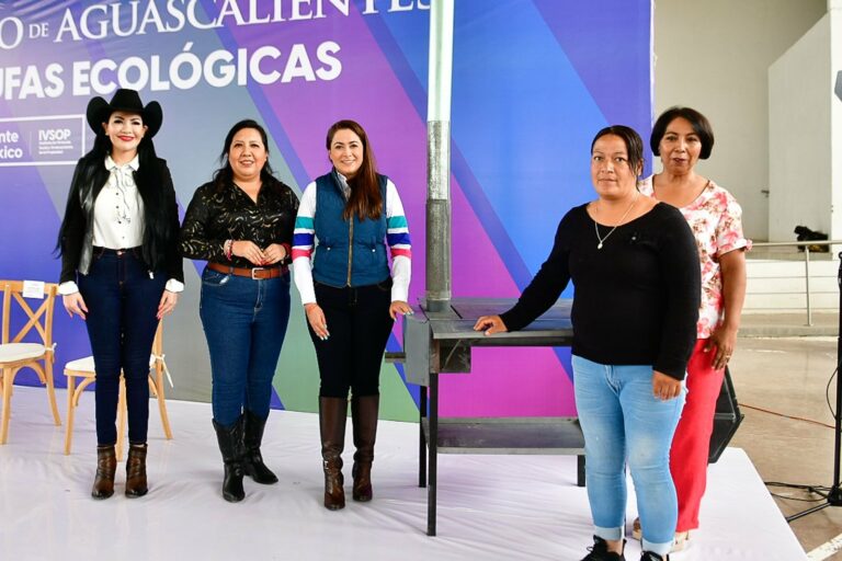 Tere Jiménez entregó estufas ecológicas en Tepezalá 