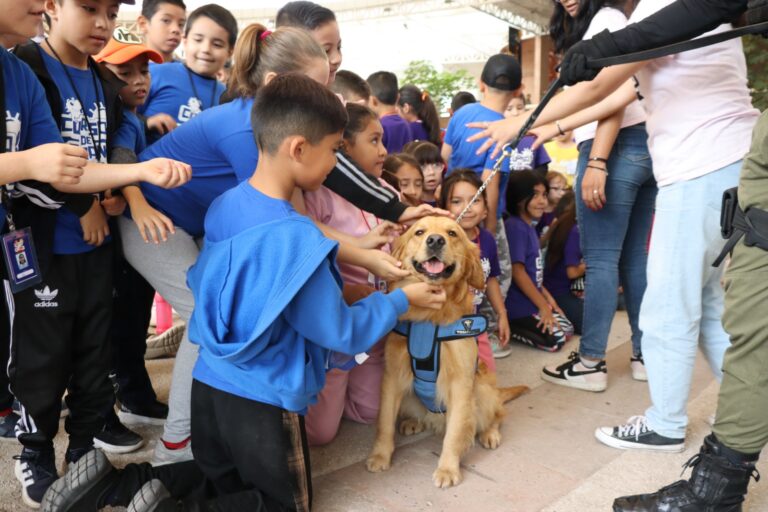 SSPE presente en curso de verano del Museo Descubre  