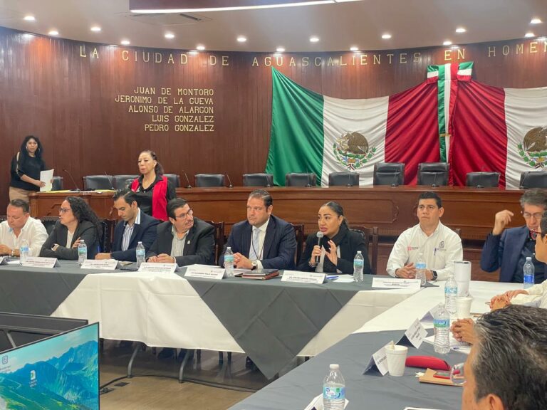 Eligieron al nuevo Consejo de la Ciudad de Aguascalientes