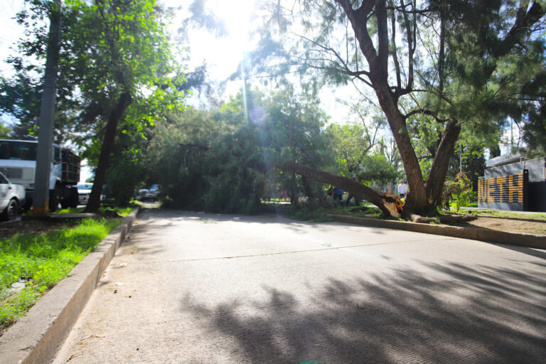 Sigue el municipio de Aguascalientes con la atención tras las pasadas lluvias
