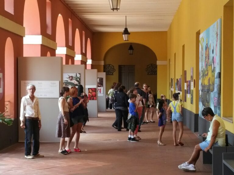 Semilleros Creativos presentaron la muestra “Semillas de identidad” 