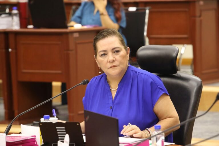 Guadalupe Taddei reafirma legalidad y precisión en la asignación de diputaciones y senadurías de Representación Proporcional 