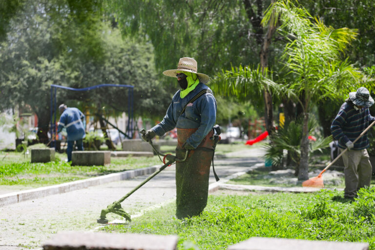 Municipio de Aguascalientes mantiene labores intensivas de desmalezado y bacheo 