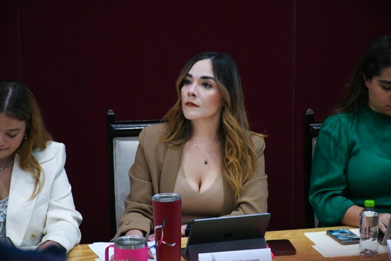 No se puede volver a penalizar a mujeres que abortan en Aguascalientes, es anticonstitucional: Leslie Figueroa