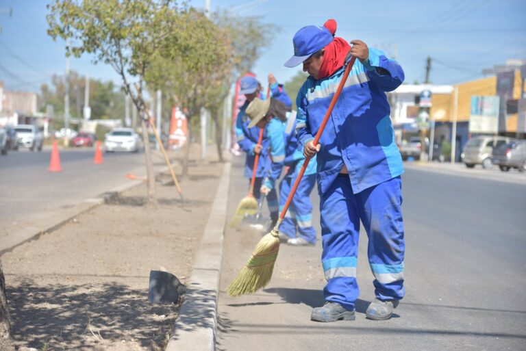 Limpieza y dedicación: el trabajo de los barrenderos