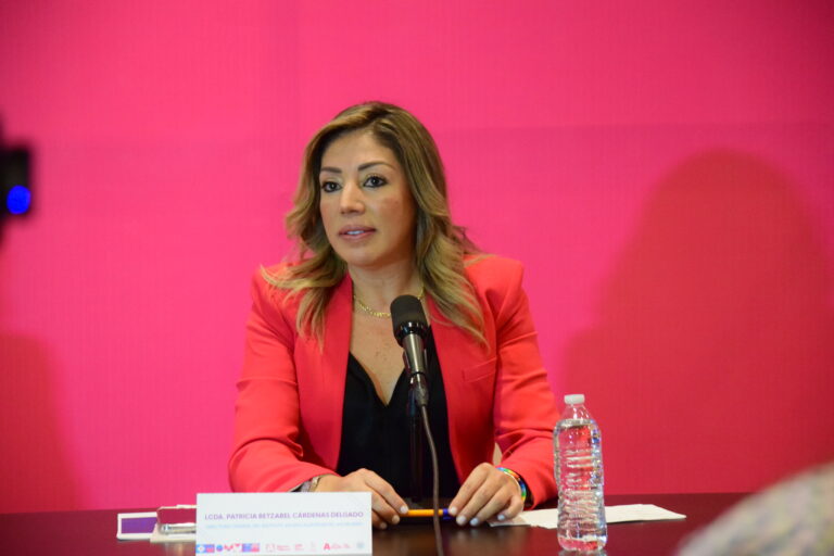 131 mujeres han buscado refugio por violencia en Aguascalientes