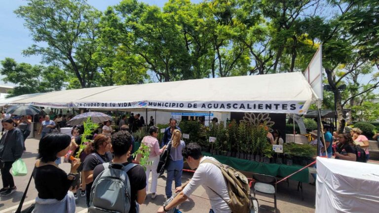 Este 15 de agosto no habrá donación de plantas en el Vivero Municipal 